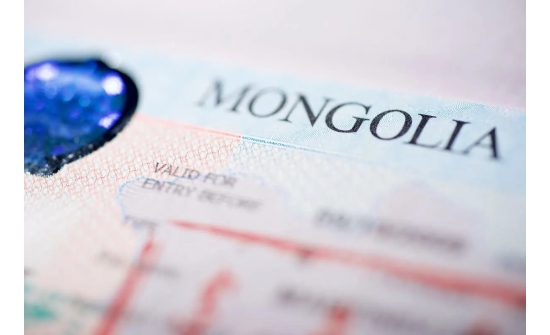 Монгол улс 488 иргэнд виз олгохоос татгалзжээ